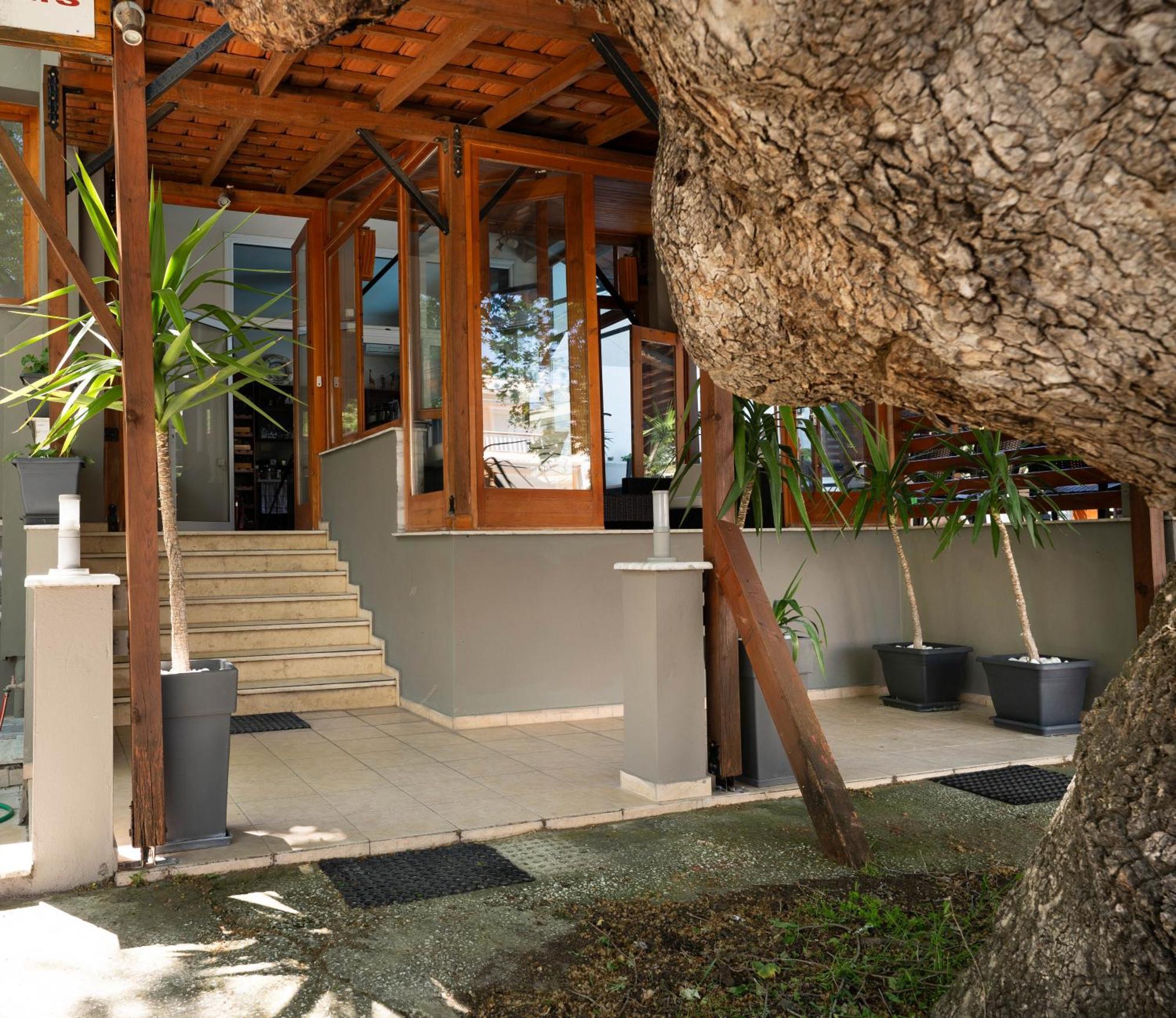 Kipos Resort Nea Peramos  Ngoại thất bức ảnh